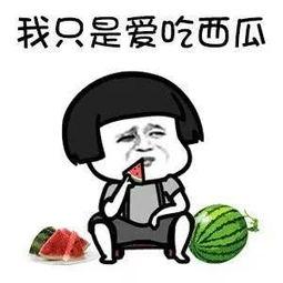 娱乐吃瓜生活,揭秘明星幕后生活，带你吃瓜一夏